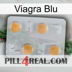 Viagra Blu 24